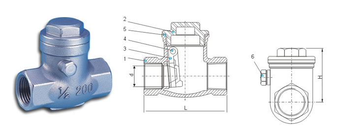 swing check valve